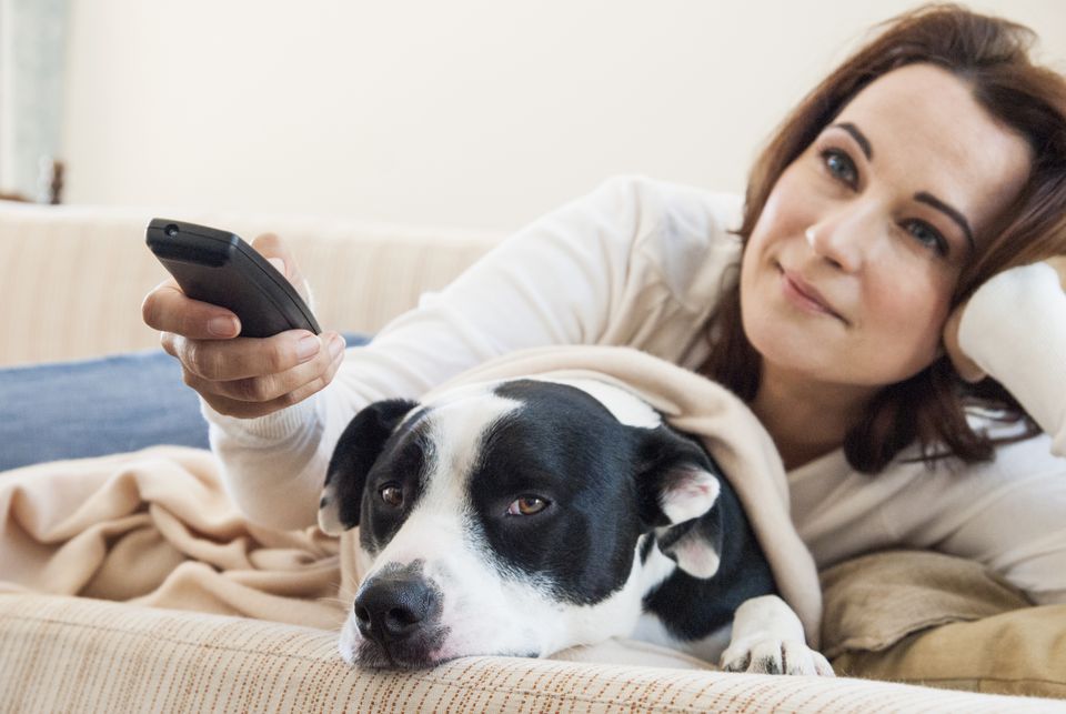 Image La dictature de l’amour: le rôle du chien dans notre vie est-il réduit à celui de toutou?