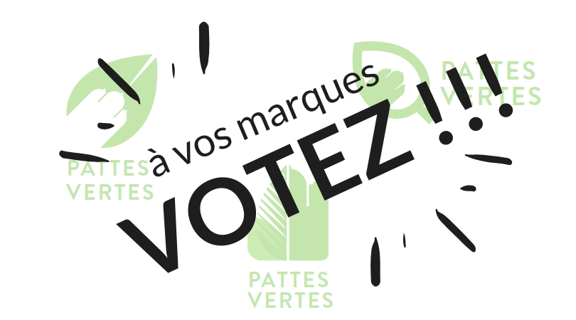 Image Pattes Vertes – Votre choix de logo !