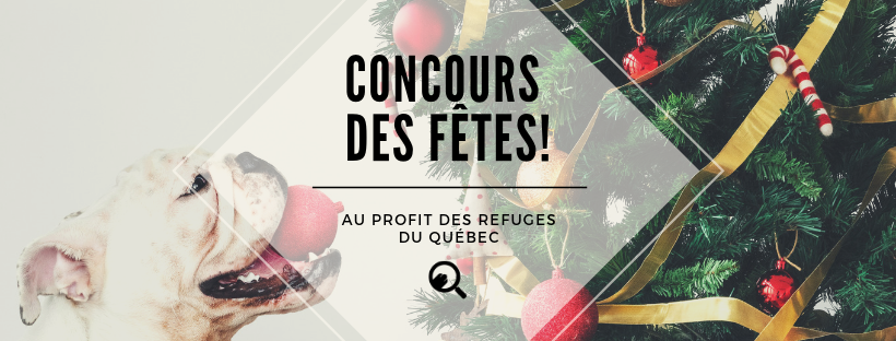 Image Concours des Fêtes – Au profit des refuges