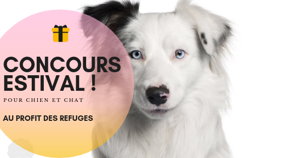 Image Concours estival – Au profit des refuges