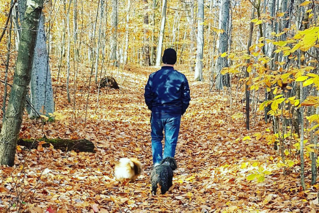 Image À la première famille de mon chien