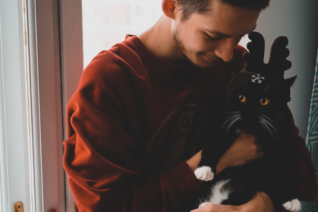 Image Un temps des fêtes sécuritaire pour votre chat